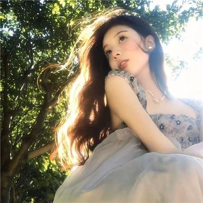 蓝甲虫